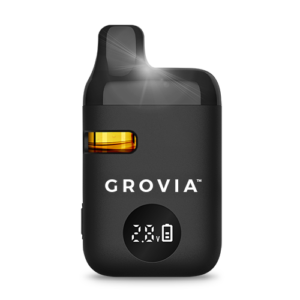 Cinnamon A2 Liquid Live Resin All-In-One-Vape