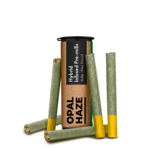 Citrus Madness Infused Prerolls Multipack
